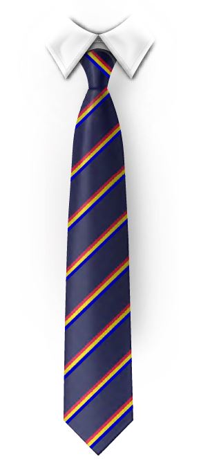 Tie - Boys - AIS (ECO)